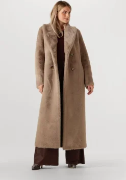 bruine ibana pantalon payten