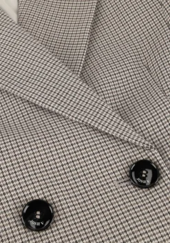 bruine josh v blazer damia