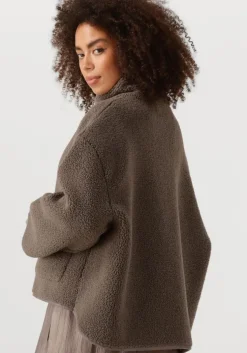 bruine knit-ted teddy jas jill