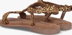 bruine lazamani platte sandalen la75029