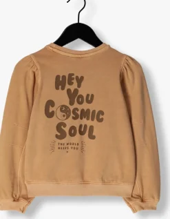 bruine looxs little sweater 2431-7332