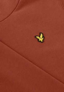 bruine lyle & scott truien/vesten pullover hoodie