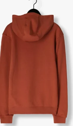 bruine lyle & scott truien/vesten pullover hoodie