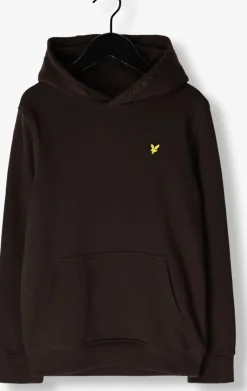 bruine lyle & scott truien/vesten pullover hoodie boys