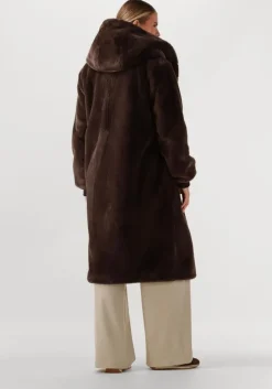 bruine moscow teddy jas 08-08-nadjana-3