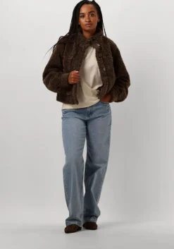 bruine moves teddy jas lesari