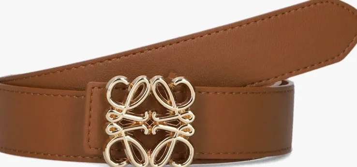bruine notre-v riem 4307