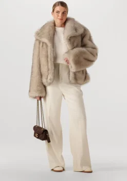 bruine notre-v zonnebril charly