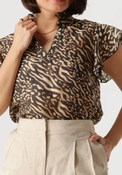 bruine nukus top aurora top