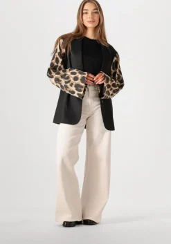 bruine refined department blazer suki