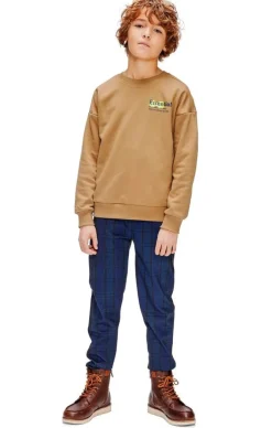 bruine retour trui hidde