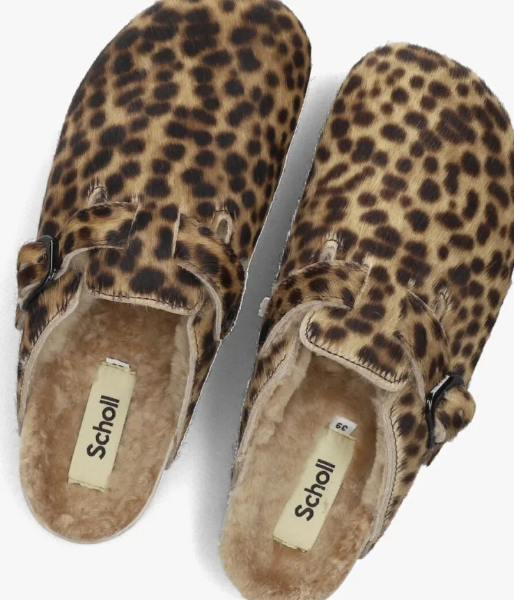 bruine scholl instappers fae new