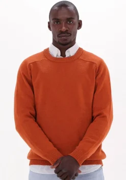 bruine selected homme trui newcoban lambs wool crew neck w