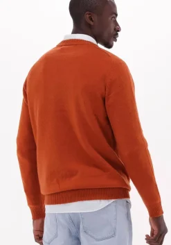 bruine selected homme trui newcoban lambs wool crew neck w