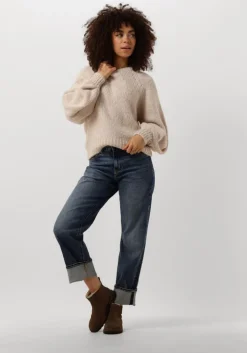 bruine shabbies enkelboots palissa