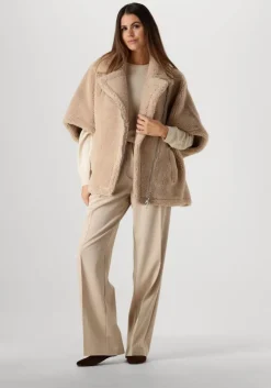 bruine stefano lauran ballerina's bailarina lazo