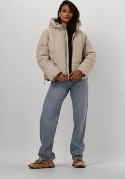 bruine steve madden lage sneakers possession