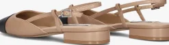 bruine steve madden slingbacks belinda