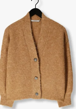 bruine summum vest fancy butons cardigan cozy