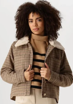 bruine suncoo jack eden