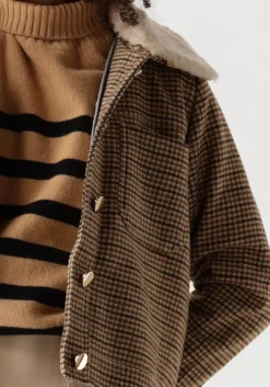 bruine suncoo jack eden