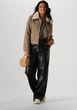 bruine suncoo jack eden