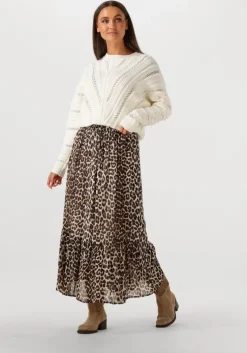 bruine suncoo midirok fado