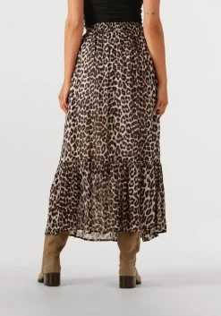 bruine suncoo midirok fado