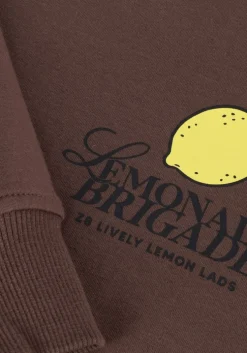 bruine z8 sweater marcelo