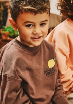 bruine z8 sweater marcelo