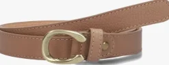 camel notre-v riem cece