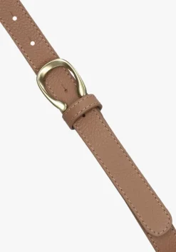 camel notre-v riem cece