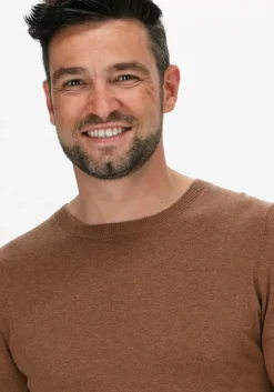 camel saint steve trui bart