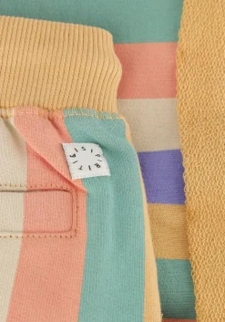 camel sproet & sprout korte broek shorts multi colour stripes