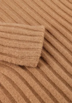 camel vanessa bruno coltrui faucon