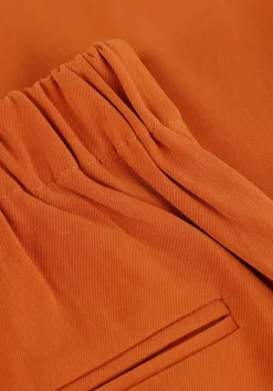 camel ydence pantalon pants solange