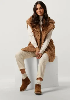 cognac notre-v enkellaarsjes 2204-03