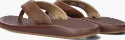 cognac olukai teenslippers ilikai