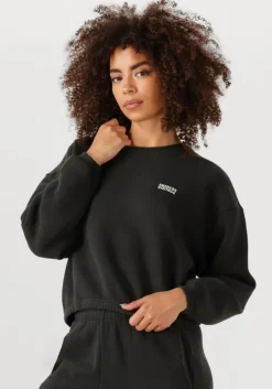 donkergrijze american vintage sweater izubird d