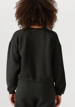 donkergrijze american vintage sweater izubird d