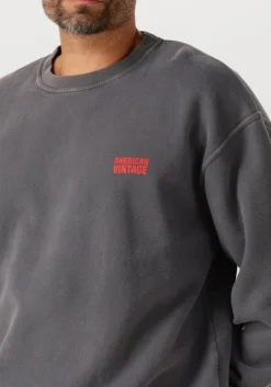 donkergrijze american vintage sweater plizzy