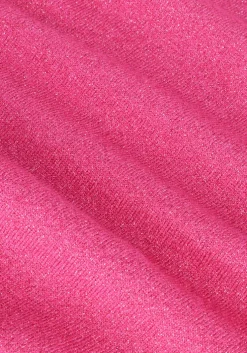 fuchsia silvian heach trui sweater balag