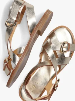 gouden notre-v sandalen 23272