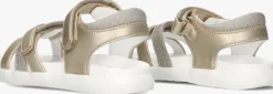 gouden tommy hilfiger sandalen 33236