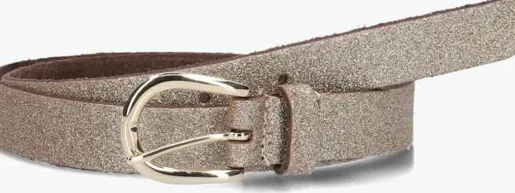 goudkleurig elvy riem 20822