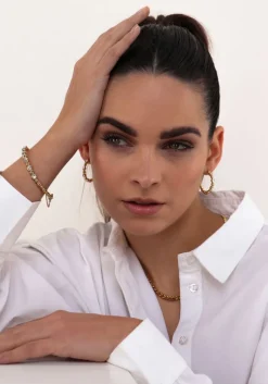 goudkleurig notre-v oorbellen earring stone crystal