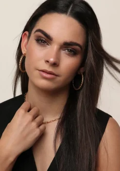 goudkleurig notre-v oorbellen x florine - bailar hoops