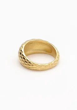 goudkleurig notre-v ringen omss22-023