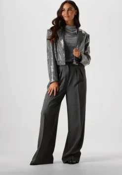 grijze aaiko blazer mille sequins pes 356