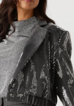 grijze aaiko blazer mille sequins pes 356